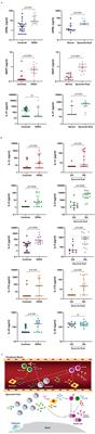 <mark class="highlighted">JAK Inhibitors</mark> and Modulation of B Cell Immune Responses in Rheumatoid Arthritis